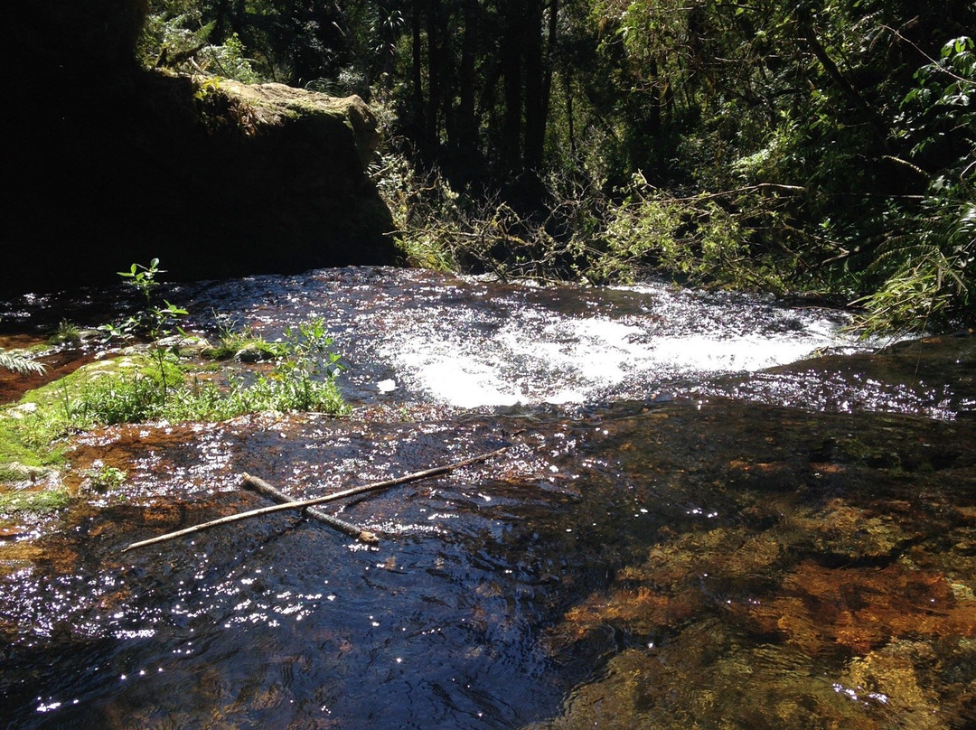 Mount Otanewainuku景点图片