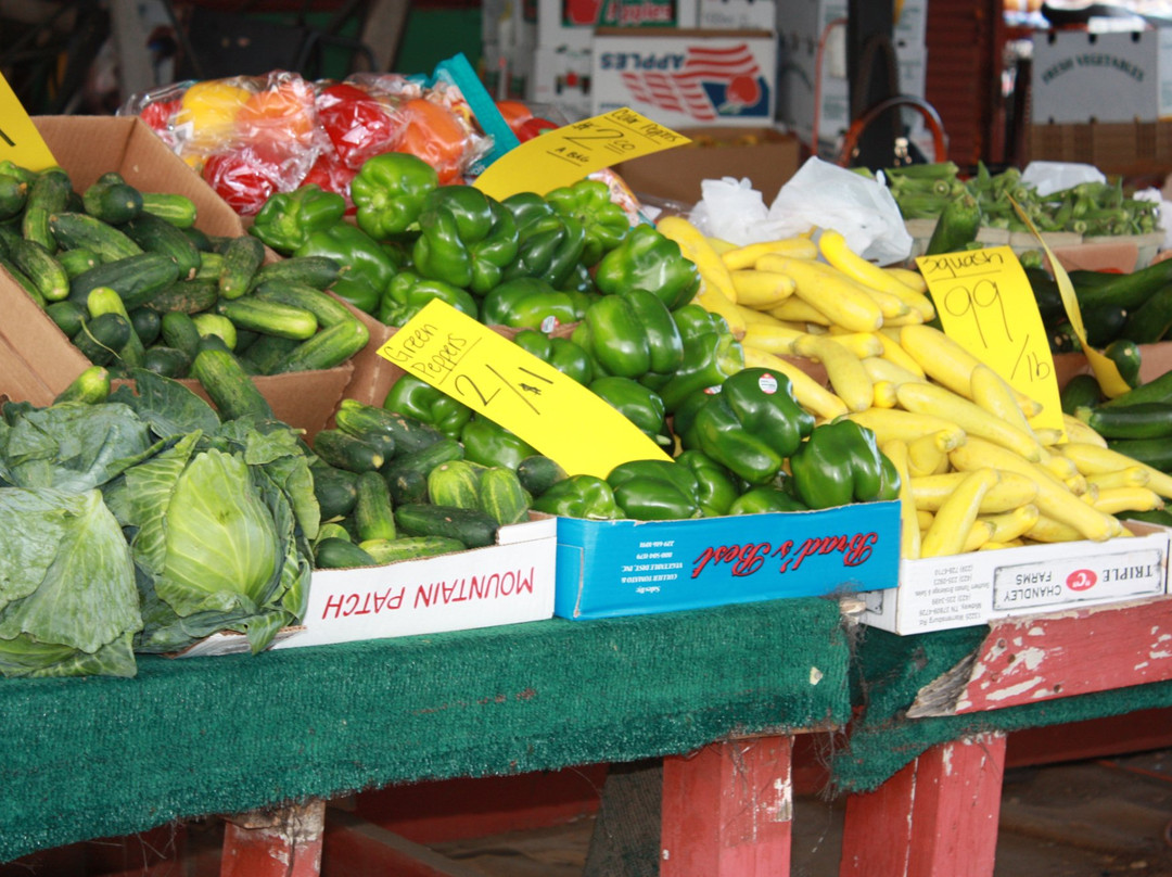 Anderson Jockey Lot-Belton必去景点