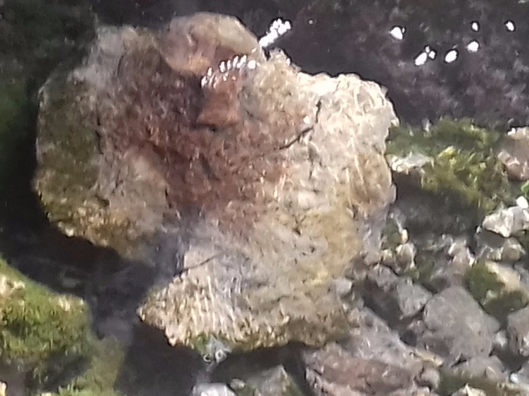 La fontaine de fontestorbes景点图片
