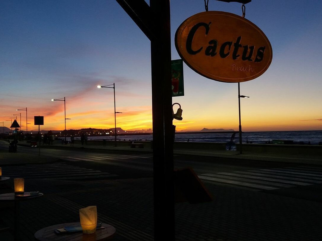 Cactus Beach Bar景点图片