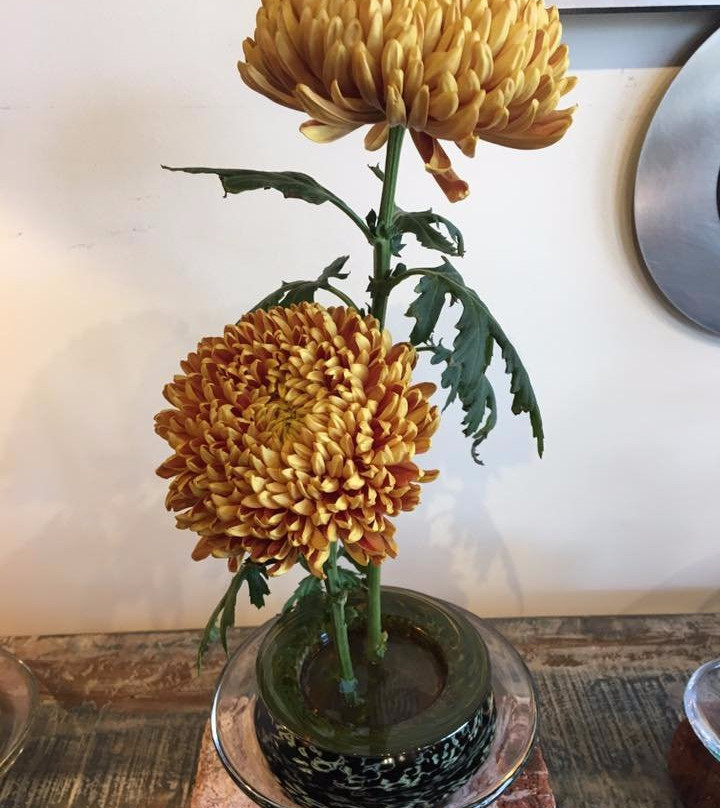 Kogei Gallery-索拉纳海滩必去景点