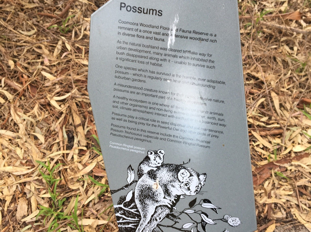 coomoora Woodland Reserve-Keysborough必去景点