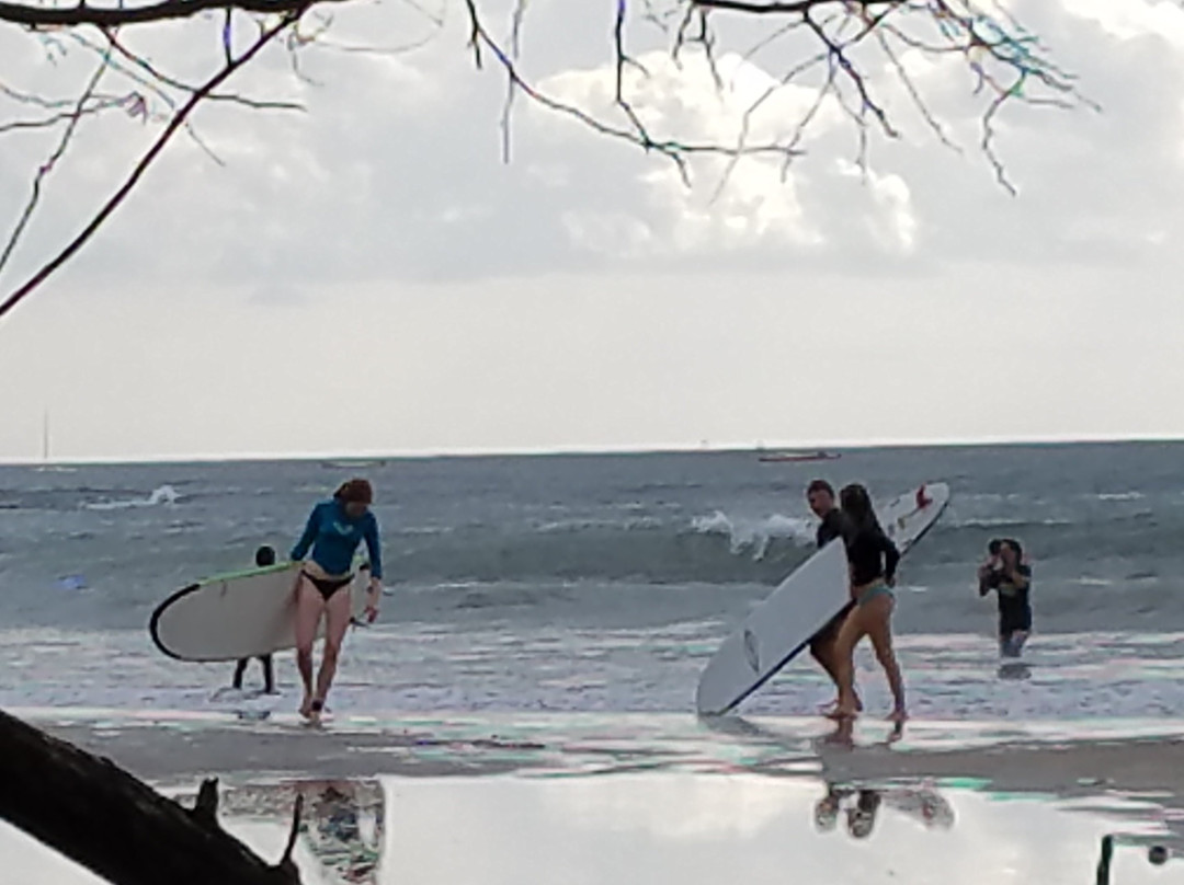 Costa Rica Amazing Trips景点图片