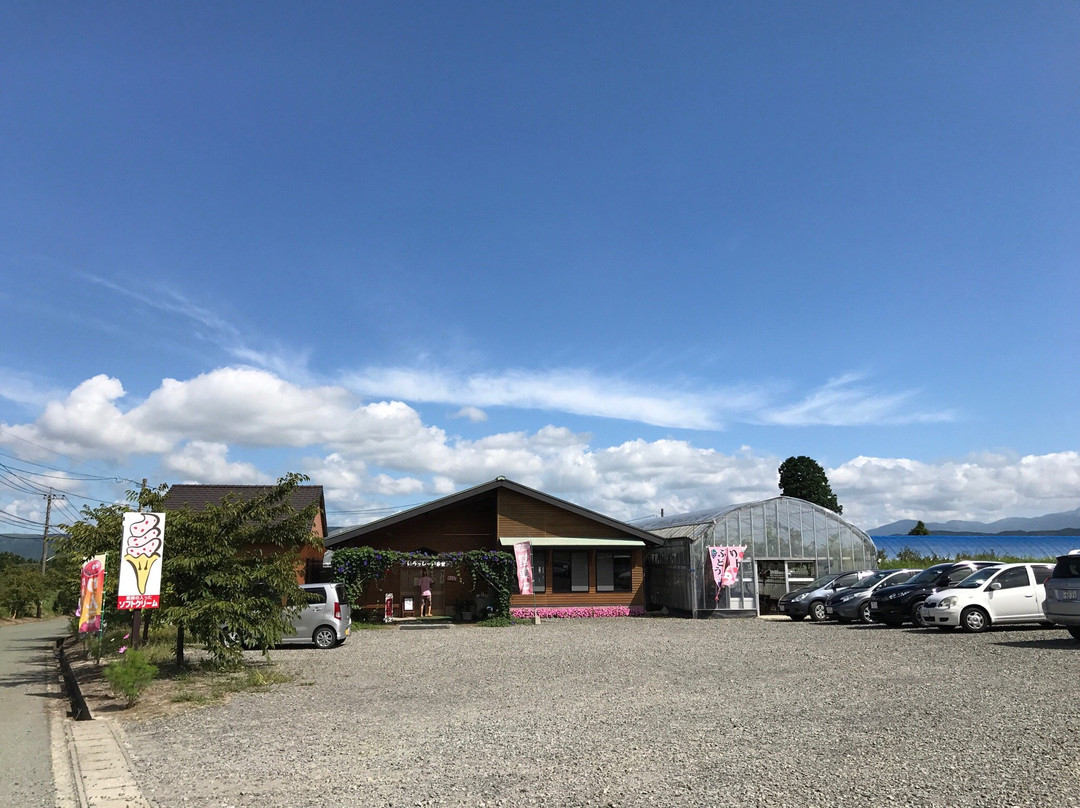 Couples-阿苏市必去景点