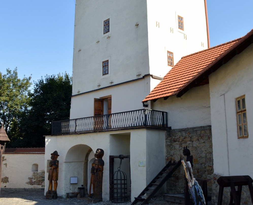 Silesian-Ostrava Castle景点图片