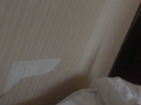 上海杨建华大酒店花木店主图