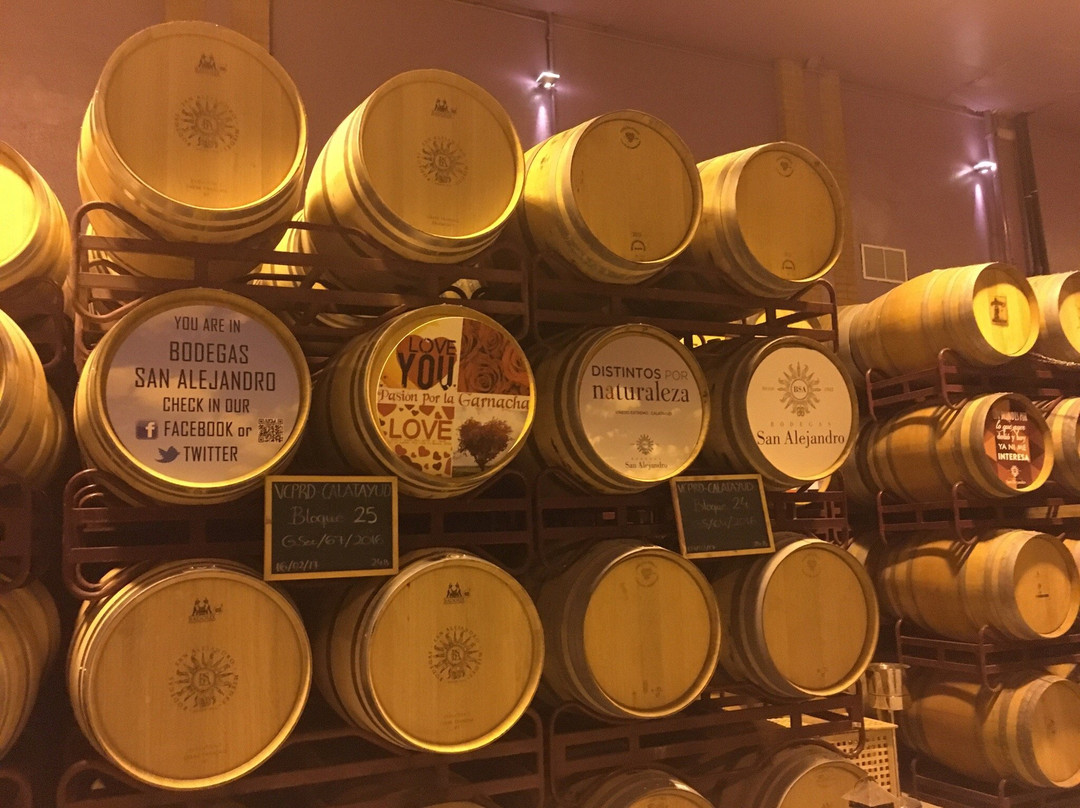 Bodegas San Alejandro-Miedes de Aragon必去景点