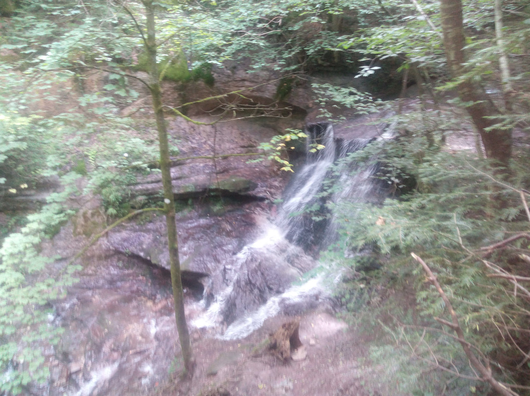 Hoerschbachwasserfalle景点图片