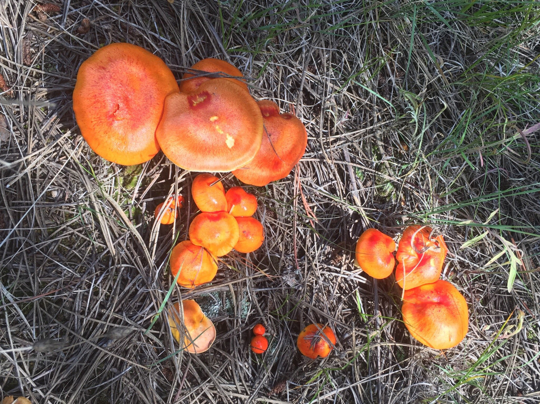 Monument Rock Trail-Monument必去景点