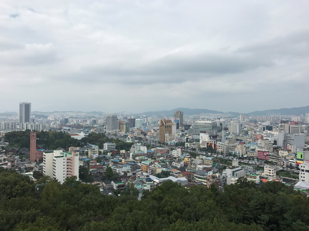 Sajik Park & Observatory-光州必去景点