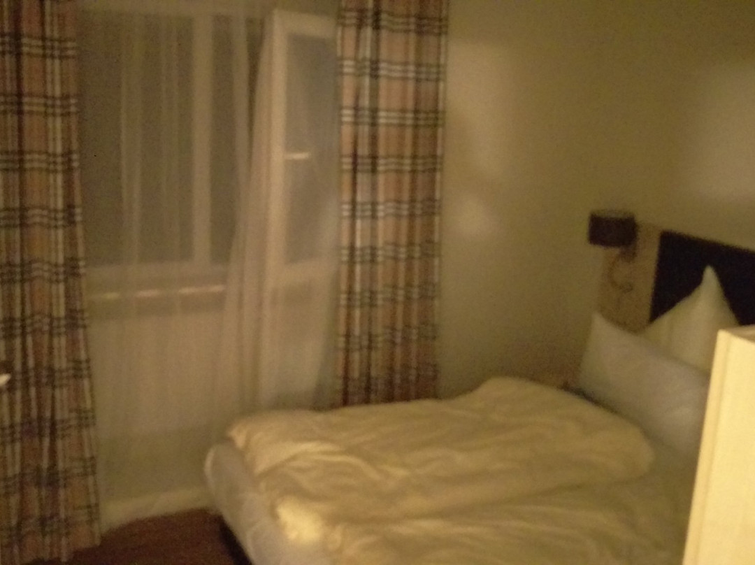 Kestert酒店住宿-Baums Rheinhotel