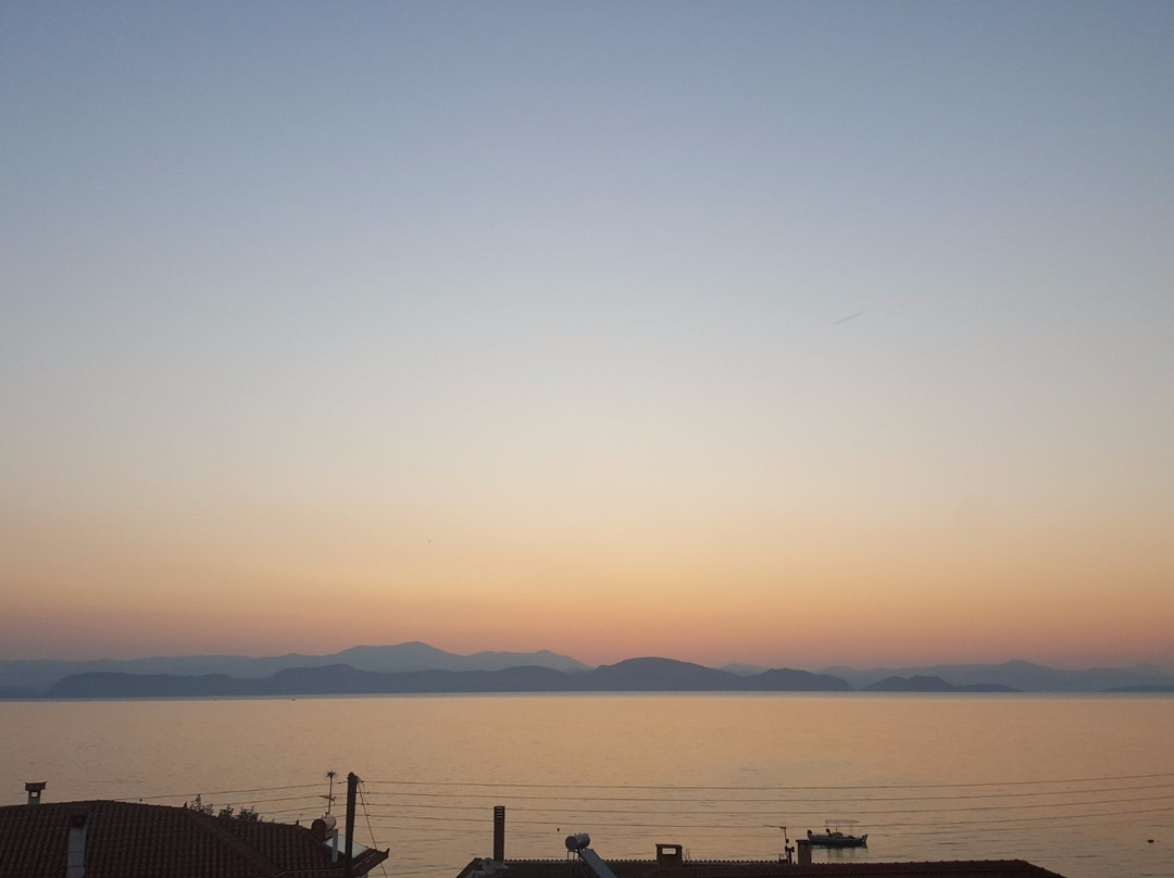 Arcadian Apartments & Studios主图