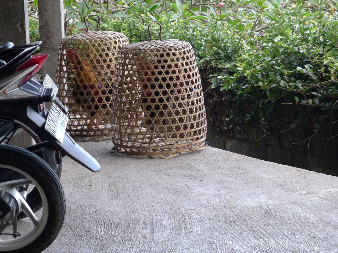 Guungan Hill-甘地达萨必去景点