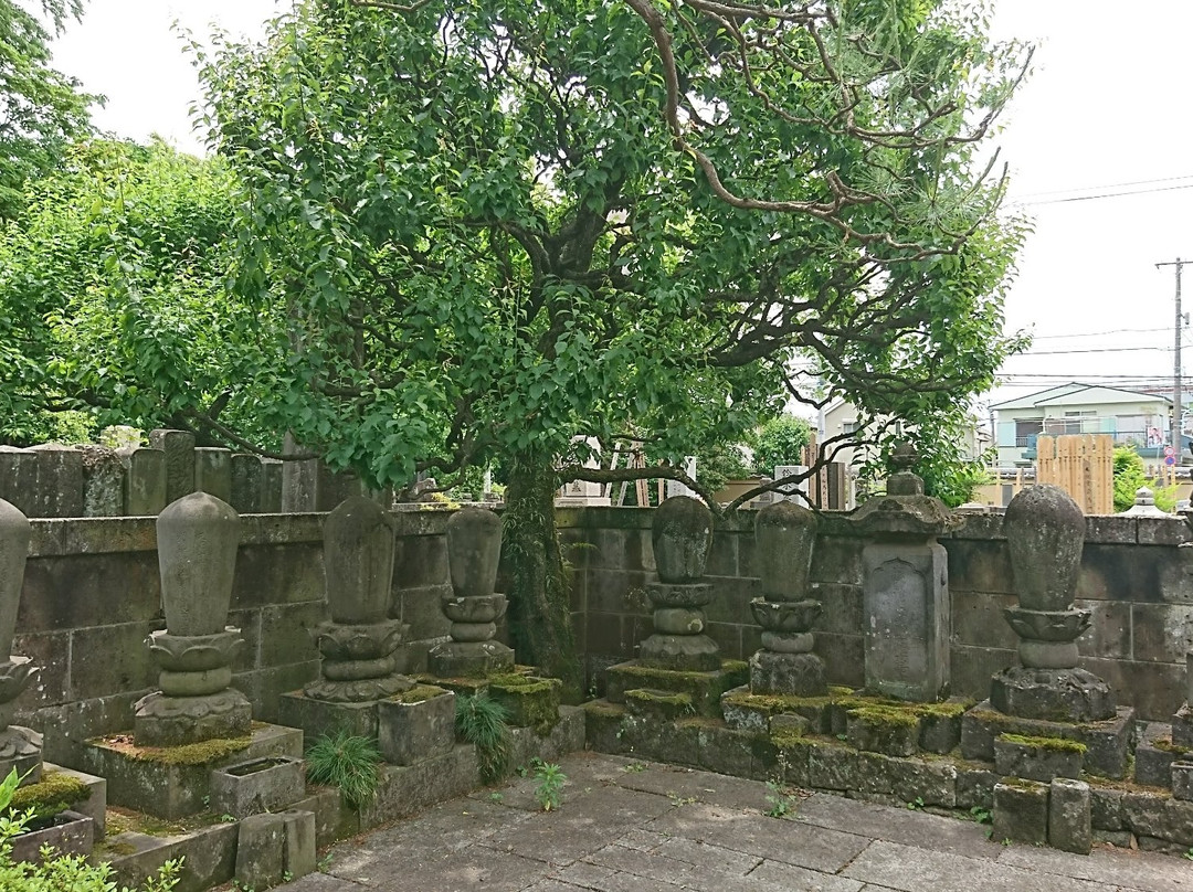 Kansen-ji Temple-杉并区必去景点