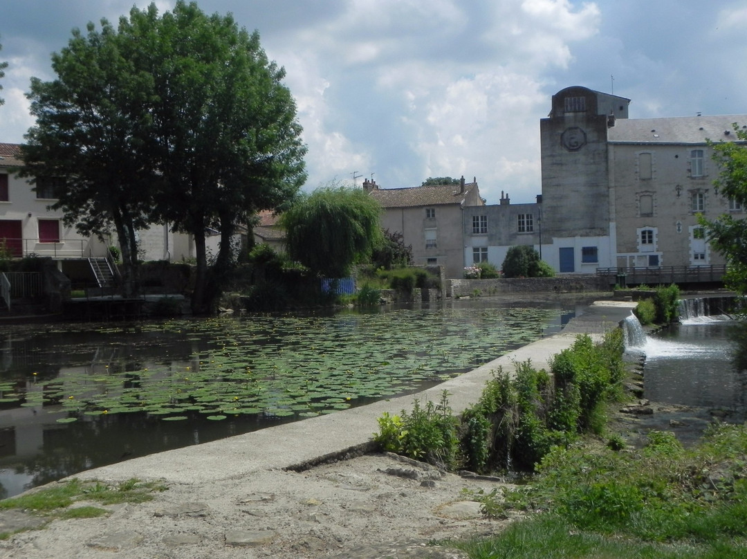 Parc Le Voucant景点图片