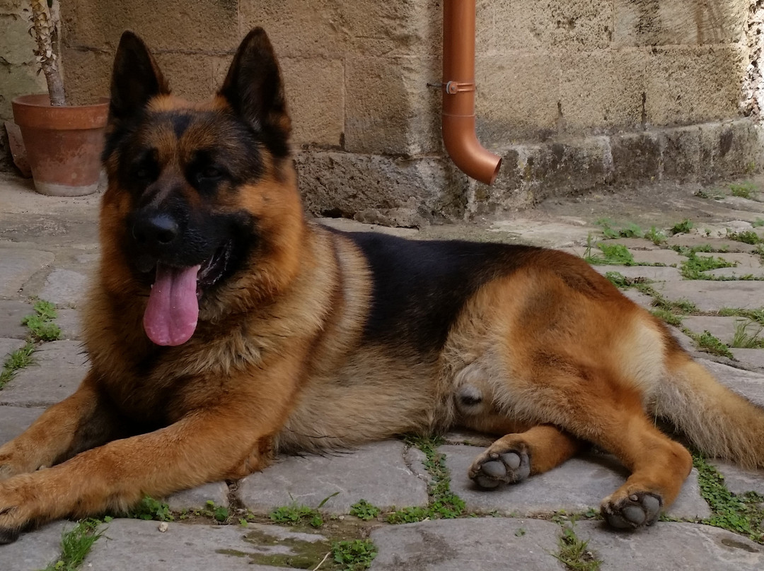 Capilungo旅游景点-Tropical Store