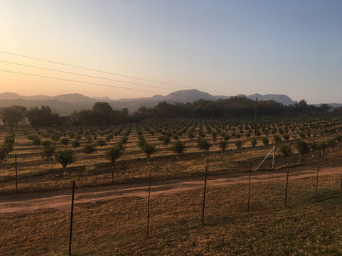 Nyamazaneni酒店住宿-Wokini Guest House