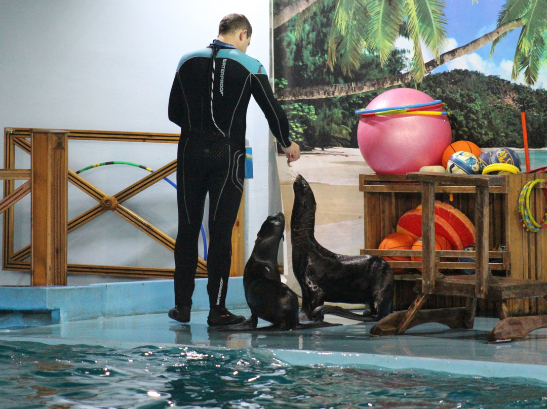 Dolphinarium Kolizey景点图片