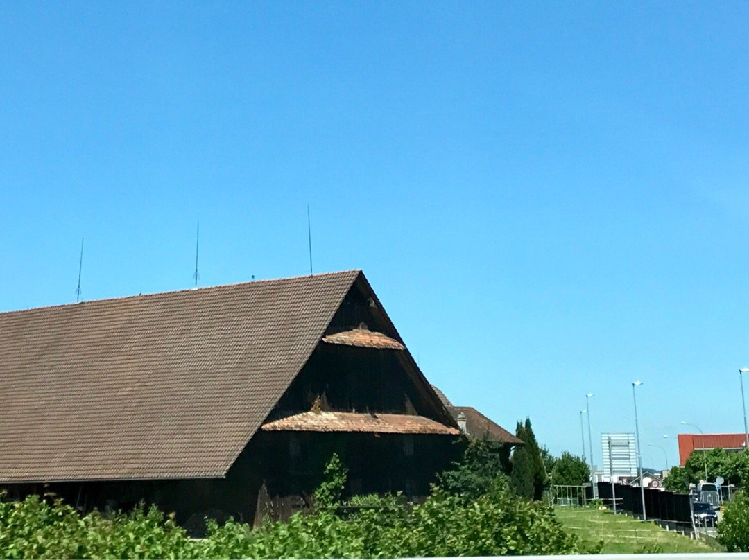 Knonau旅游攻略图片