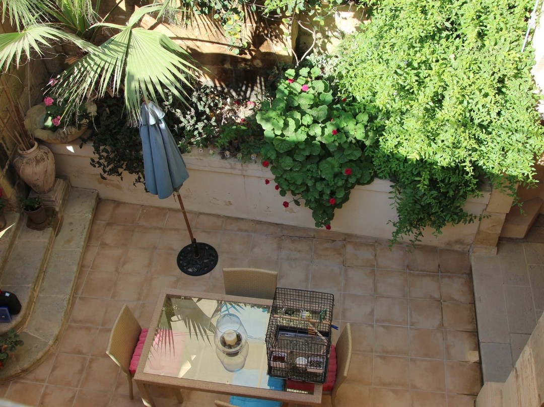 Hibiscus House Bed & Breakfast, Gozo主图