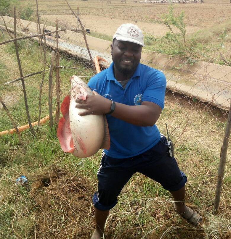 Ferme Youyou-尼亚美必去景点