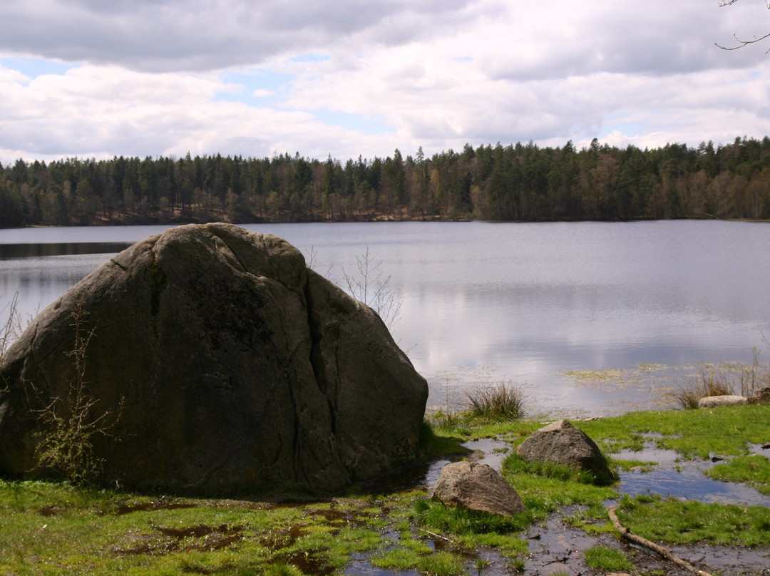 Devil's Stone in the Żurawie Błota Reserve景点图片