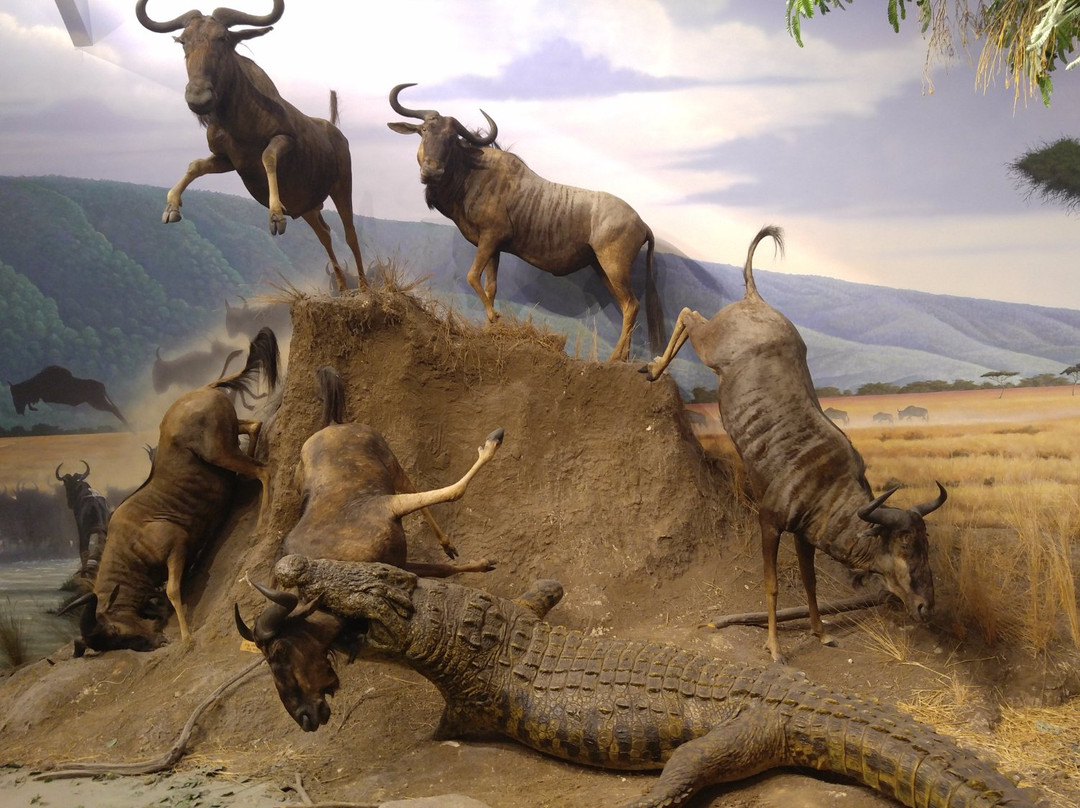 Cabela's景点图片