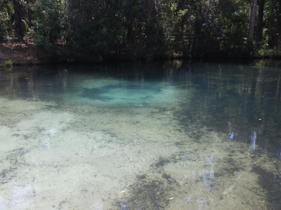 Welaka State Forest-Welaka必去景点