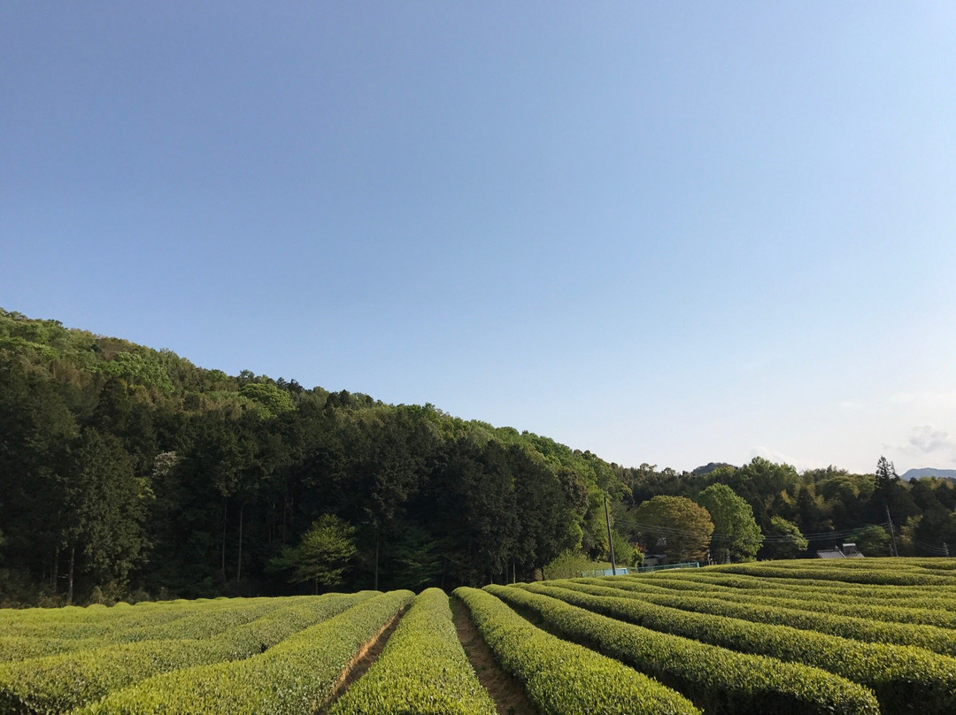 伊豆之国市旅游攻略图片