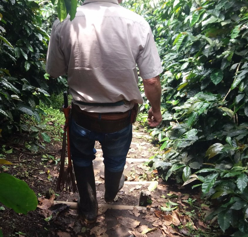 Cafe La Arzacia-萨伦托必去景点