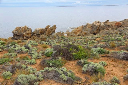 Trousers Point Walk-Flinders Island必去景点