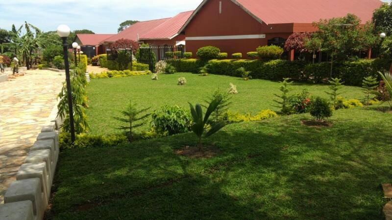 Dreamland Guest House