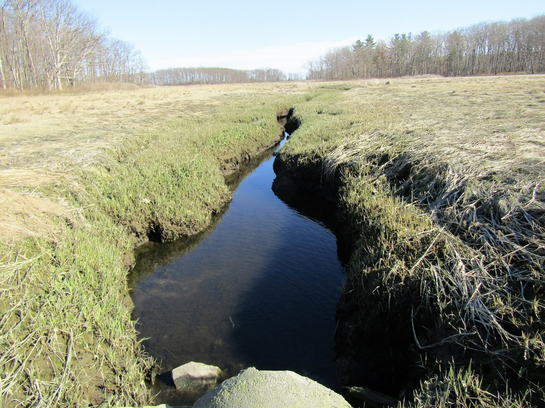 Rough Meadows Wildlife Sanctuary景点图片