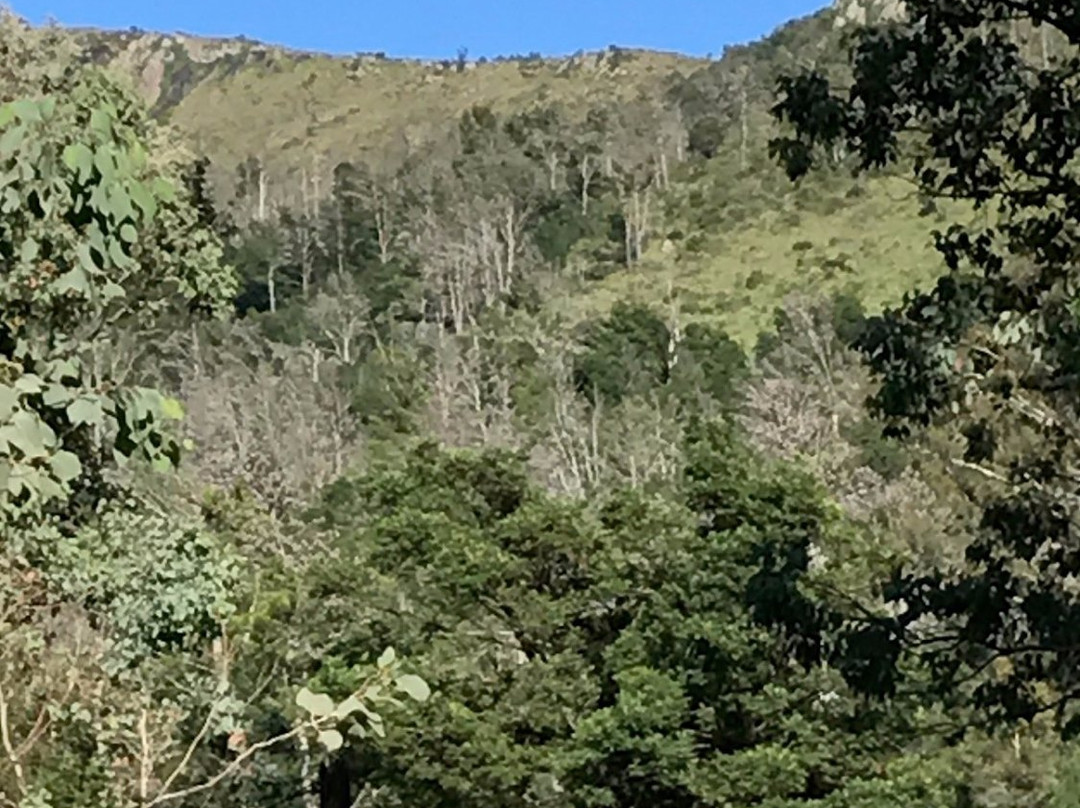 Gig Bed & Breakfast and Selfcatering主图