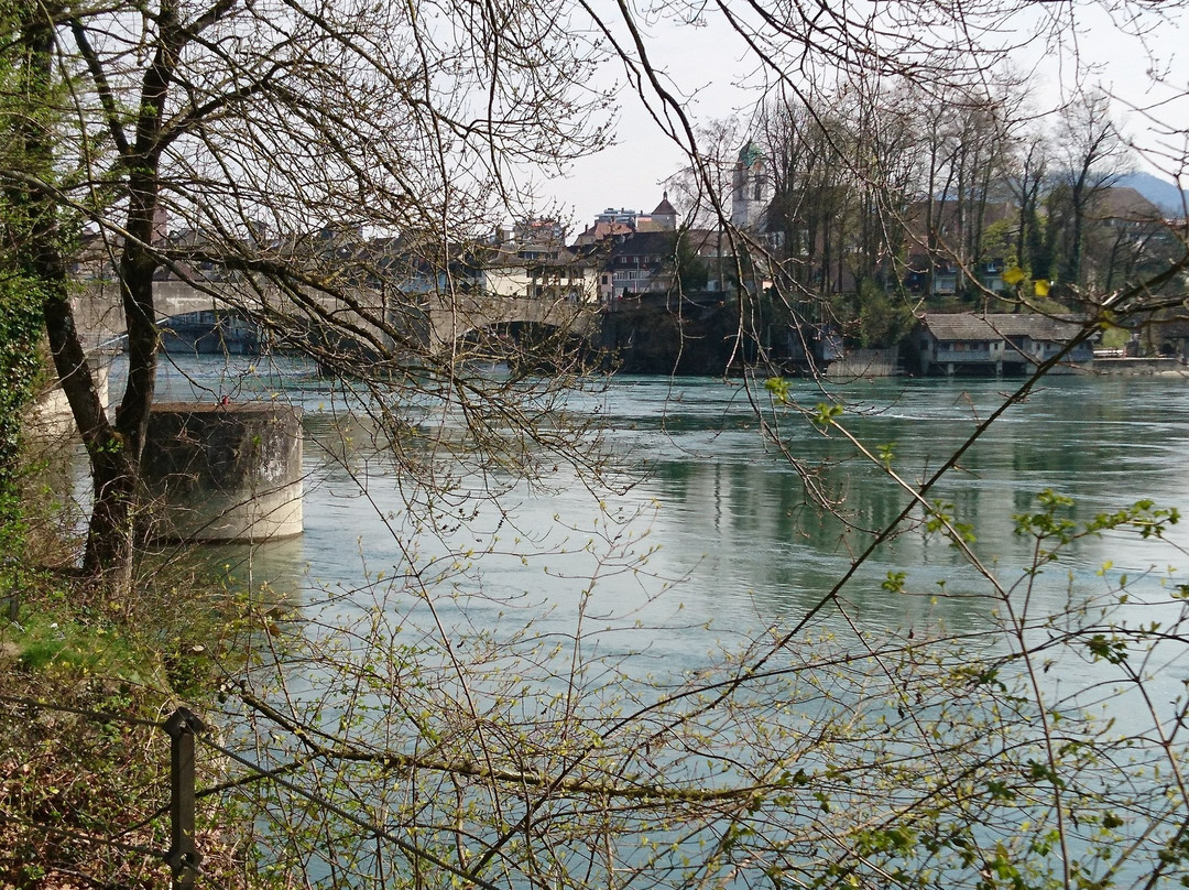 Inseli-Rheinfelden必去景点