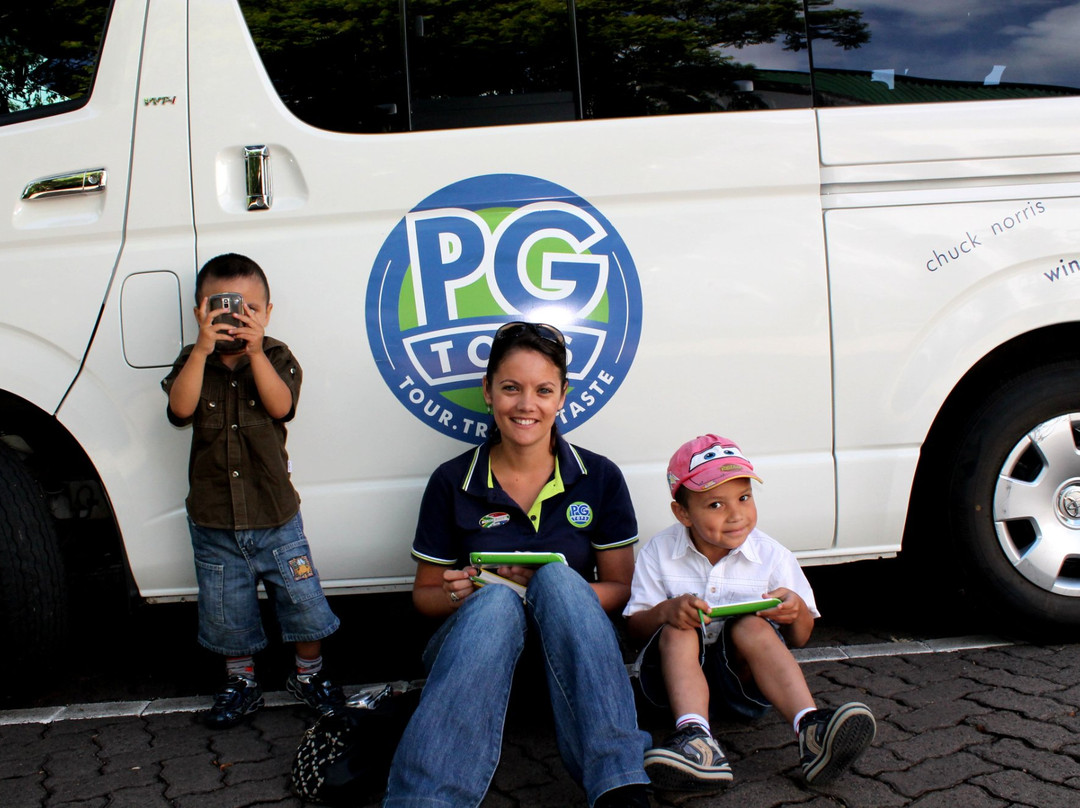 PG Tops Travel and Tours - Day Tours-开普敦中心区必去景点