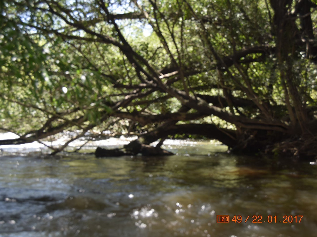 Cascadas Del Queguay-Paysandu必去景点
