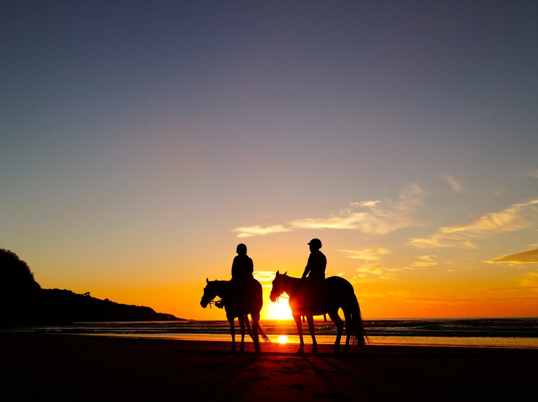 Surf & Turf Horse Riding Raglan-拉格伦必去景点
