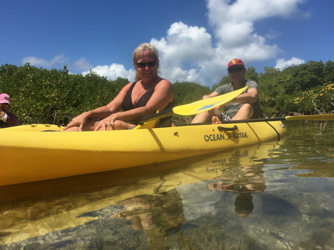 GroundSea Adventures BVI-Road Town必去景点
