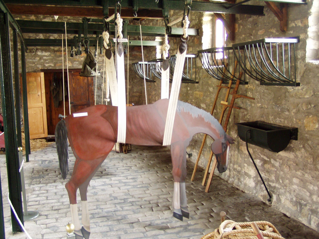 Museum of Military Veterinary Service-Larissa必去景点