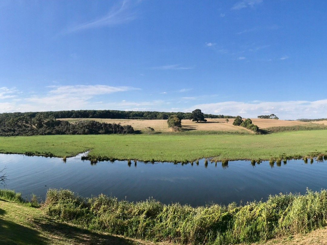 Curdievale旅游攻略图片