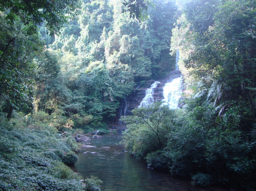 Mawlynnong Waterfall景点图片