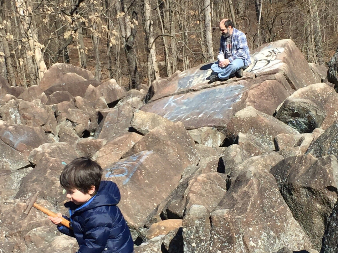 Ringing Rocks Park-Potts Grove必去景点