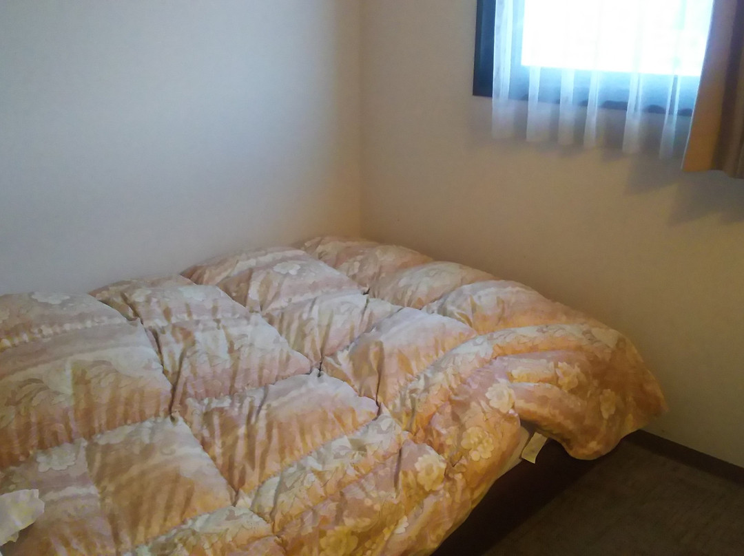 Business Hotel Cosmo Inn主图