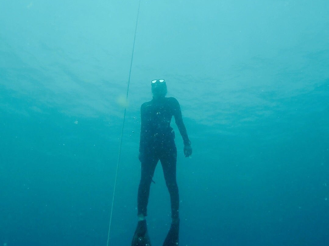 Freedive Blue Marine-Gili Air必去景点