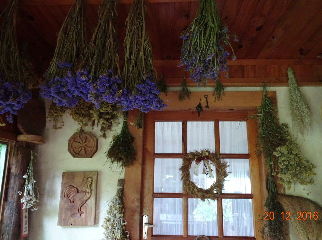 Vale dos Sonhos-Urubici必去景点