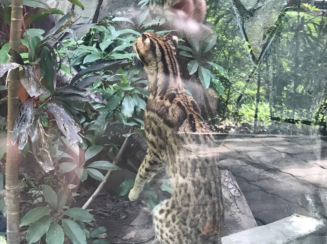 Vita Garden Mini-Zoo-藩切市必去景点