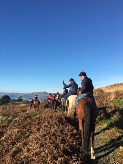 Bantry Bay Pony Trekking景点图片
