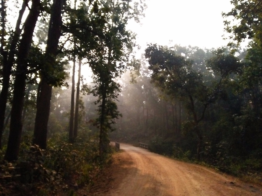 Hazaribagh Wildlife Sanctuary景点图片