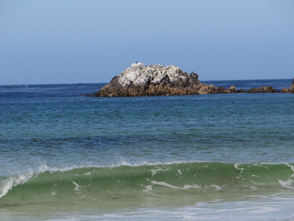 Surf Bay景点图片